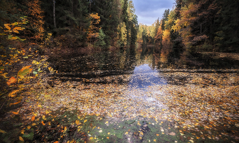 Herbst kommt bald / ***