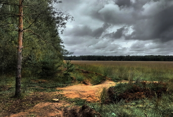Vor dem Regen / ***