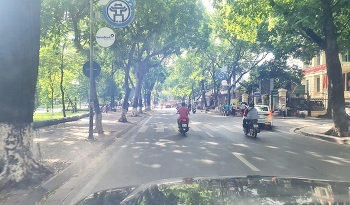 Street Scenes On A Warm Sunny Day / "Street Scenes On A Warm Sunny Day".The photo above was taken by me - photographer Cao Van Vương with my Canon EOS Camera. In the photo is a road with busy traffic and people, on both sides of the road are rows of tall trees spreading shade.
This photo was taken by me and posted on December 30, 2020.
* Contact information of the owner of the work:
Owner: Cao Van Vương
Contact email: sereinomoif@hotmail.com
Address: 384-386, Nguyen Trai Street, Thanh Xuan District, Hanoi City.
©️ The photo copyright belongs to: Cao Van Vương
©️ Copyright registered.
Please do not copy, reproduce, repost on any other social networking platform. The owner of the work is Cao Van Vương, the work is protected by the Digital Millennium Copyright Act (DMCA).
©️ 2020. All rights reserved.