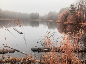 im Herbstnebel / ***