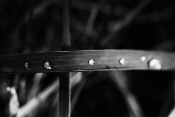 Ohne Titel / ***