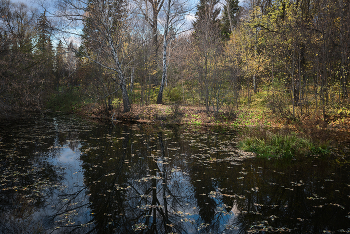 Alter Teich ... / ***