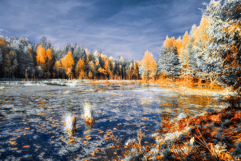 November / ***