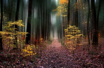 Der Charme des Herbstes / ***