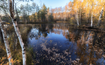 Spiegel im Herbst / ***