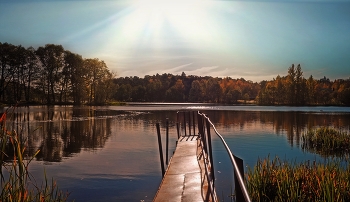 Herbstlicht / ***