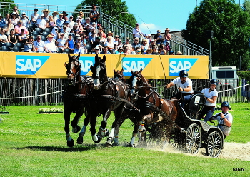 4x4 :) / CHIO 2022 Aachen