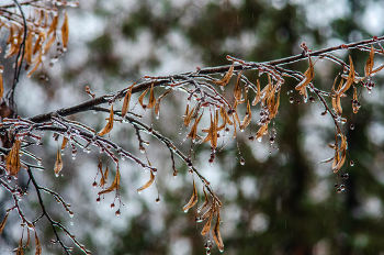 Einfrieren regen / ***