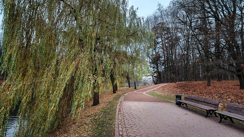 Im Herbst des Parks ... / ***