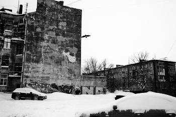 Freiheit / ***