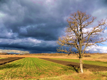 Spätherbst ... / ***