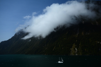  / Milford Sound, New Zealand