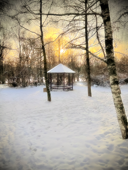 Winter / ***