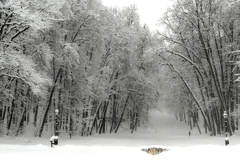 Winter-Etüden / ***