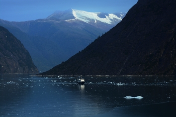  / Endicott Arm Fjord, Alaska