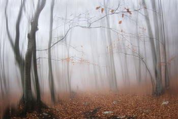 Herbst-Aquarell / ***