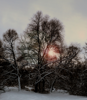 Winter / ***