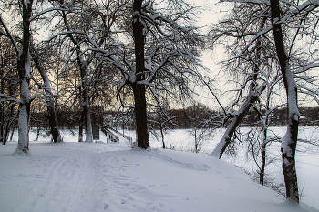 Abend im Park / ***