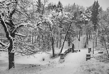 Winter-Etüden / ***