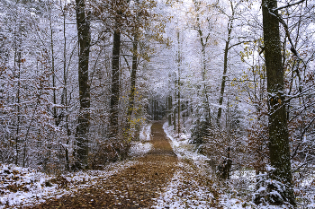 Der erste Schnee / ***