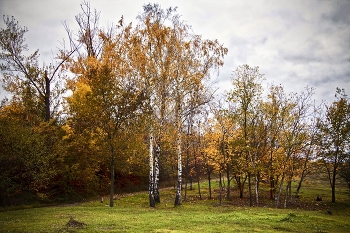 Autumn Gatchina / ...
