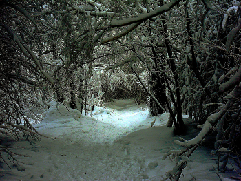 Nach Schneefall / ***