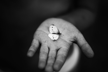 zerbrechliches Leben / ***