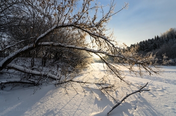 Nebel zerstreut / ***