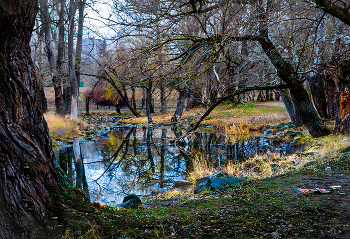 Quiet Corner / ***