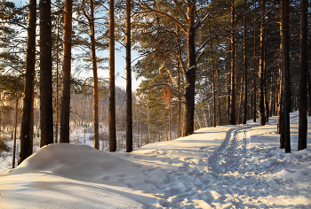Winter / ***