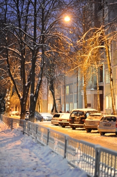 Winter / ***