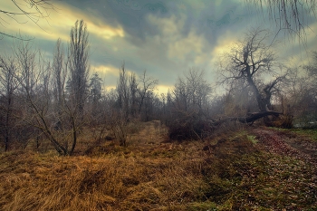 S.T.A.L.K.E.R. / ***