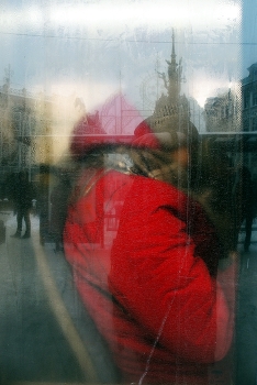 Rot / ***