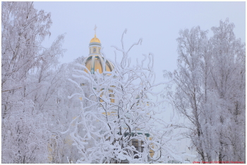Frost / ***