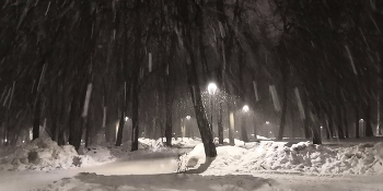 Schneesturm / ***