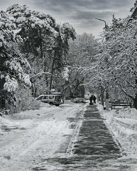 Nach Schneefall / ***