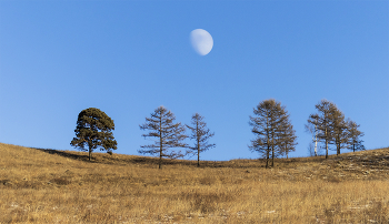 Under the Moon / ***