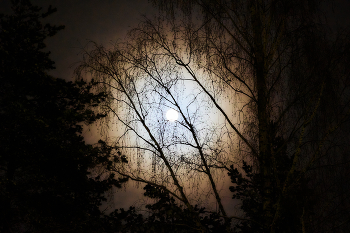 Blick / ***