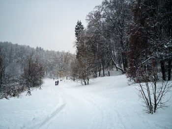 Winter-Etüden / ***