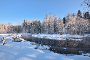 Winter / ***