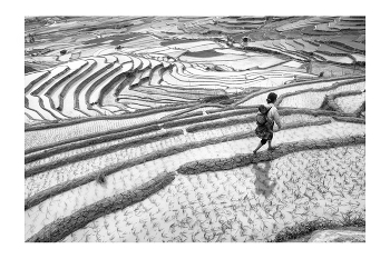  / "Rice&Icon of Vietnam" B&W art photo project