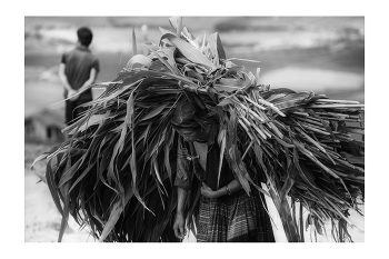  / "Rice&Icon of Vietnam" B&W art photo project