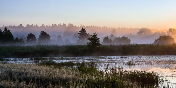 Sommermorgen. / ***
