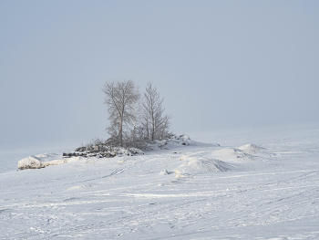 Schneesturm / ***