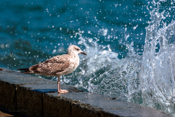 Moment. / ***