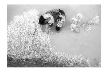  / "Rice&Icon of Vietnam" B&W art photo project