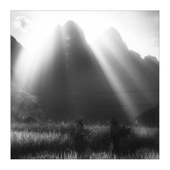  / "Rice&Icon of Vietnam" B&W art photo project