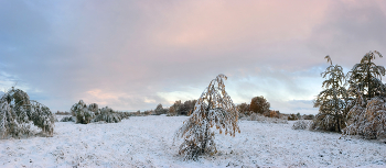 Der erste Schnee / ***