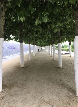  / tribute to Magritte