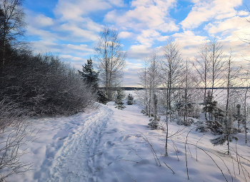 Winter / ***